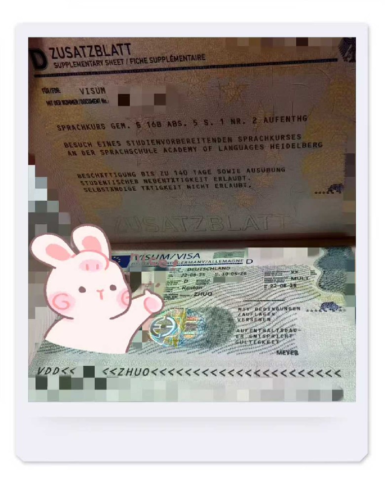 祝贺小Zhuo同学（广州领馆递签）报海德堡富优学院32周语言班顺利下签语言+留学签证！